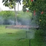 A green lawn with sprinklers misting water, surrounded by lush bushes and a distant view of a wooden structure under a clear sky. A Good Neighbor Property Solutions in the Tampa Bay Area, Florida