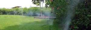 A green lawn with sprinklers misting water, surrounded by lush bushes and a distant view of a wooden structure under a clear sky. A Good Neighbor Property Solutions in the Tampa Bay Area, Florida