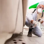 Organic-Based Pest Control