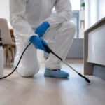 Professional Pest Control