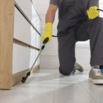 pest control Spring Hill