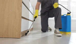 pest control Spring Hill